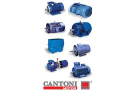 Cantoni Motor 2SIE132S-2B (112027)  V440/60HZ  7,50 KW  Poles 2  Shape B3  Volt/Hz 400 T 50  U.M Pz