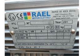 RAEL MOTORI ELETTRICI RL100LB 4 (RL0035)