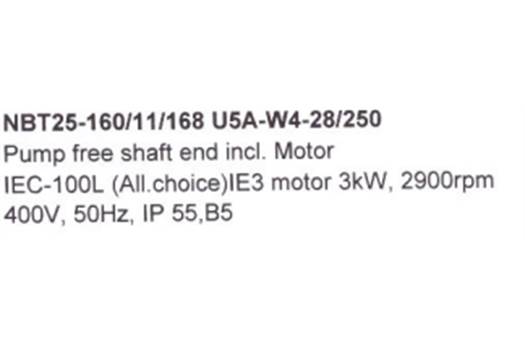 ALLWEILER NBT25-160/11/168 U5A-W4-28/250 CENTRIFUGAL PUMP