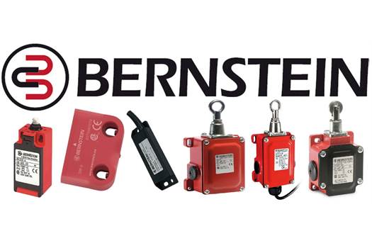Bernstein 6062110013 F2-U1Z/U1Z foot switch, model  