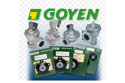 Goyen CA76T020-300  pulse solenoid valve