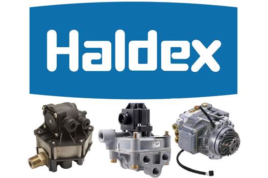 Haldex GM25V-2V62A-1E20B Motor