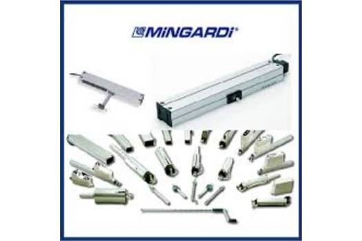 Mingardi 1D20300142000- obsolete, alternative type D16 magnetic SRL 