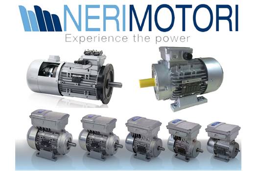Neri Motori 40053513043  IC410  VF 44 A, İ = 60   P71   B14    B3 Reducer