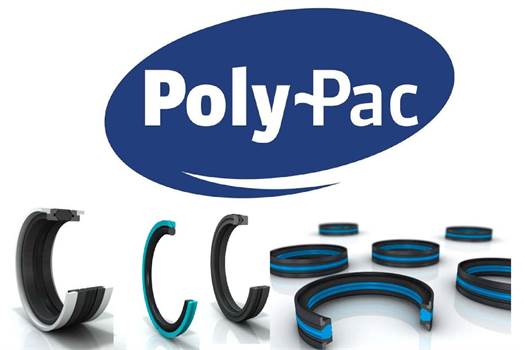 Polypac RCH100700-N0O0C DAS Kompaktdichtung 