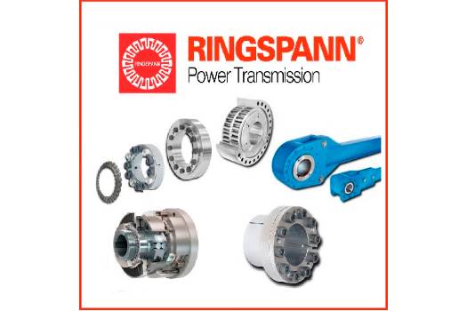 Ringspann FXM 140 - 50/19 reducer brake