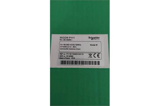 Schneider Electric P111-E110N92N1NN11N 