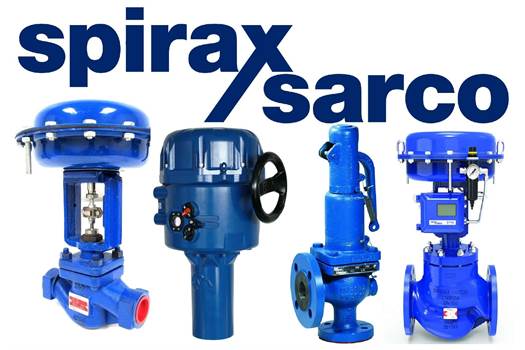 Spirax Sarco FI-C402-06 - alternative is TI-P157-05 Water Gun